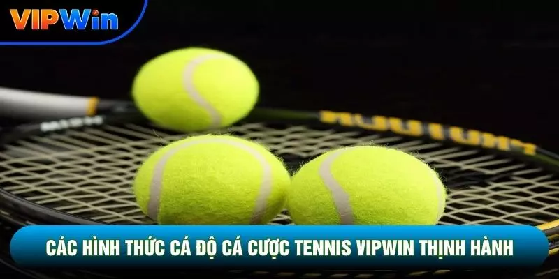 Các hình thức cá độ cá cược tennis vipwin thịnh hành