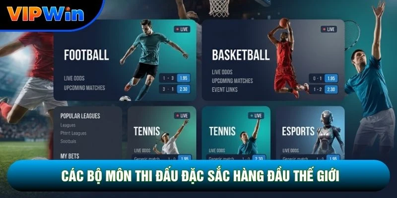 Các bộ môn thi đấu đặc sắc hàng đầu thế giới