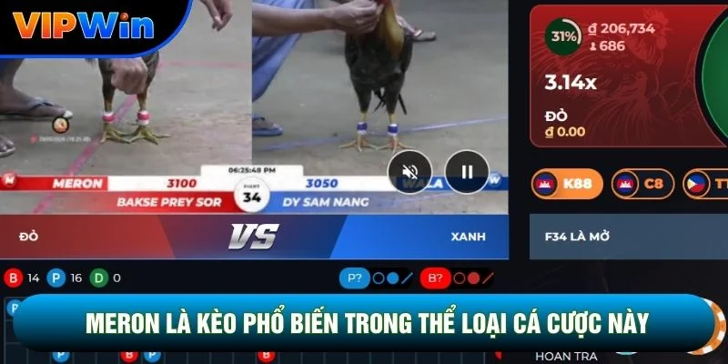 Meron là kèo phổ biến trong thể loại cá cược này
