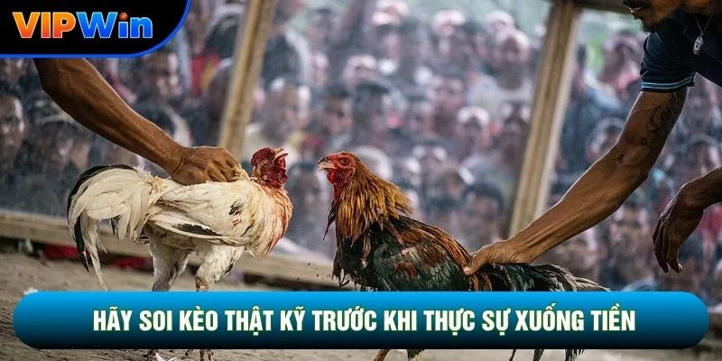 Hãy soi kèo thật kỹ trước khi thực sự xuống tiền