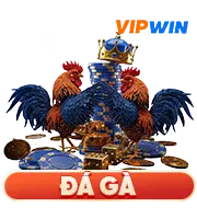 Đá gà trực tuyến