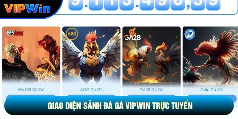 Giao diện sảnh đá gà vipwin trực tuyến
