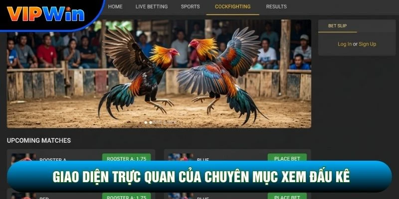 Giao diện trực quan của chuyên mục xem đấu kê