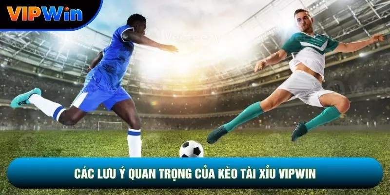 Các lưu ý quan trọng của kèo tài xỉu vipwin