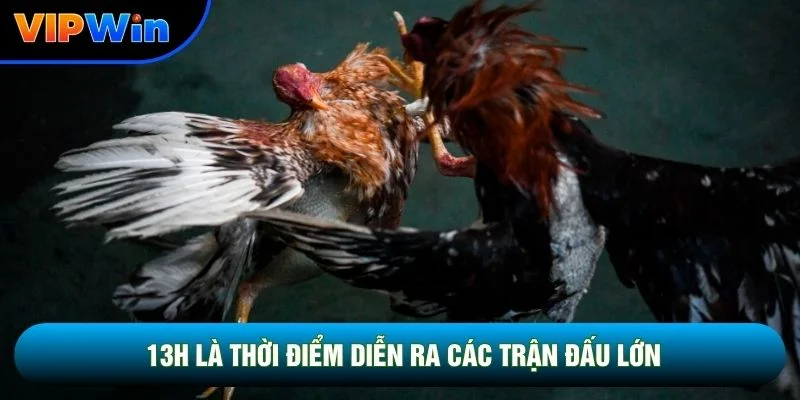 13h là thời điểm diễn ra các trận đấu lớn