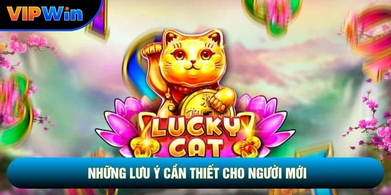 Những lưu ý cần thiết cho người mới