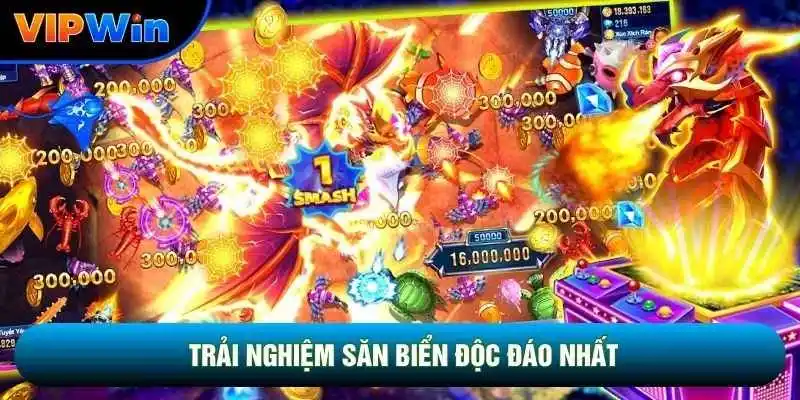 Vui chơi săn biển độc đáo